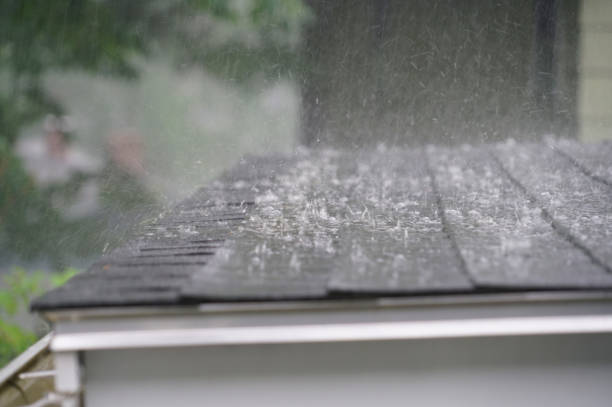 Best Skylight Installation and Repair  in Kiryas Joel, NY
